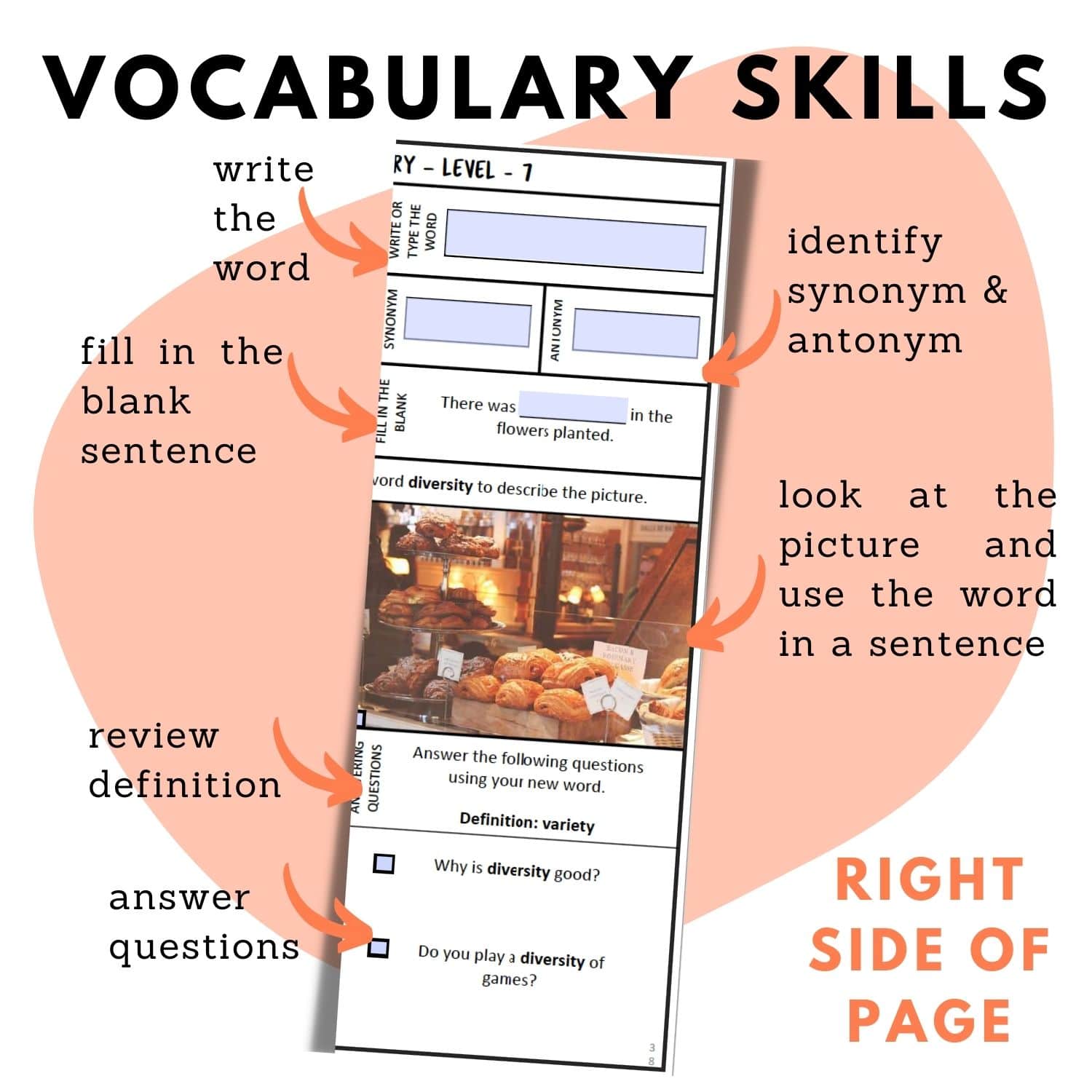 tier 2 vocabulary skills 6th grade