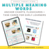 Multiple Meaning Words resource cover - anchor charts, flashcards, and task cards for early learners, K-3, homographs and homophones, 3 levels