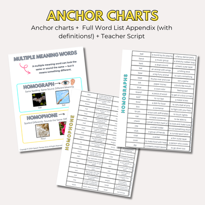 Multiple meaning words anchor charts explaining homographs and homophones, plus full word list appendix with definitions and teacher script