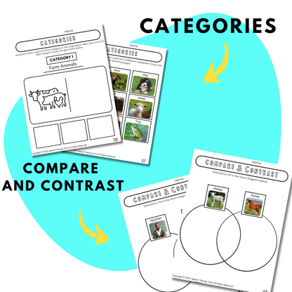 speech therapy brown bear categories